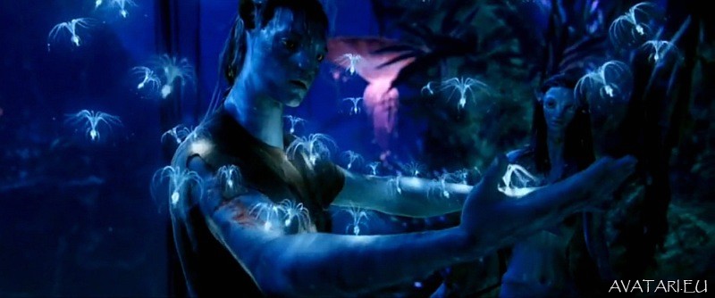avatar-movie-10