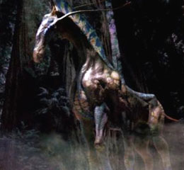Didirehorse